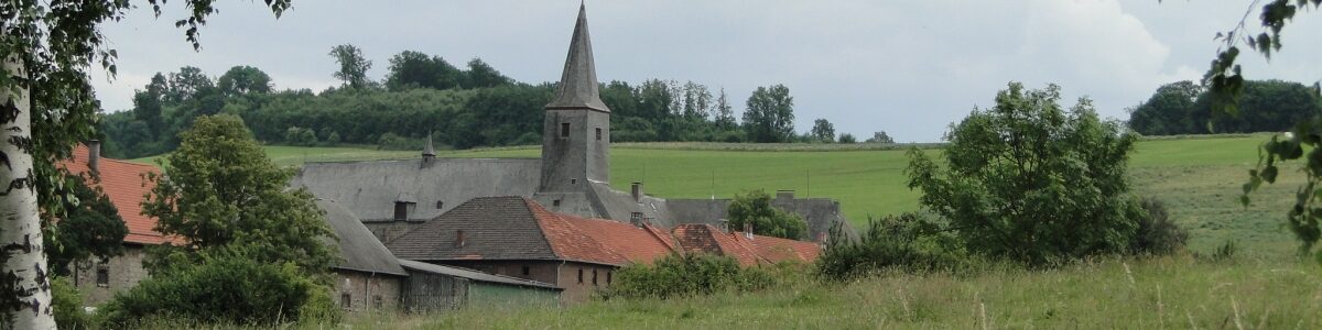 Ein Blick von der Zufahrtsstraße auf Oelinghausen; zu sehen sind der Kirchturm der Klosterkirche und die davor die Dächer des Gutshofs.